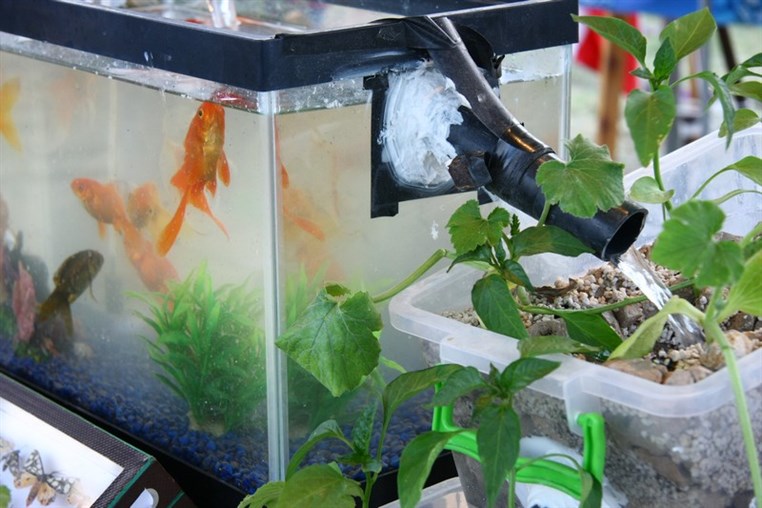 Garden Show & Spring Festival